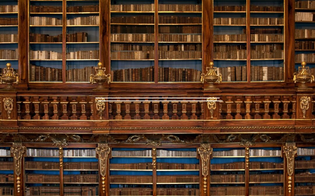 ancient library shelves