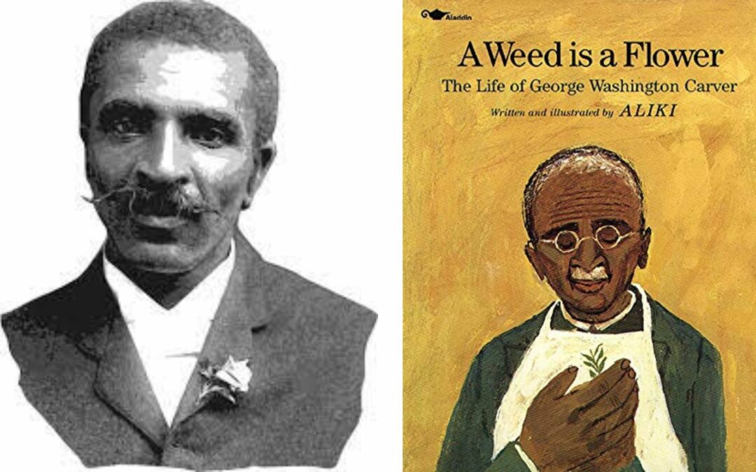 Book Review: A Weed is a Flower by Aliki (Black History)