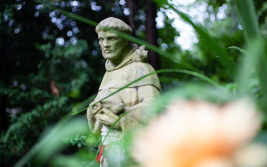 st. francis statue in a garden