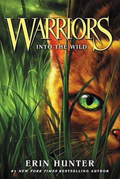 warrior cats for reluctant boy readers